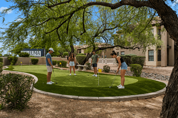 Mini golf putting green
